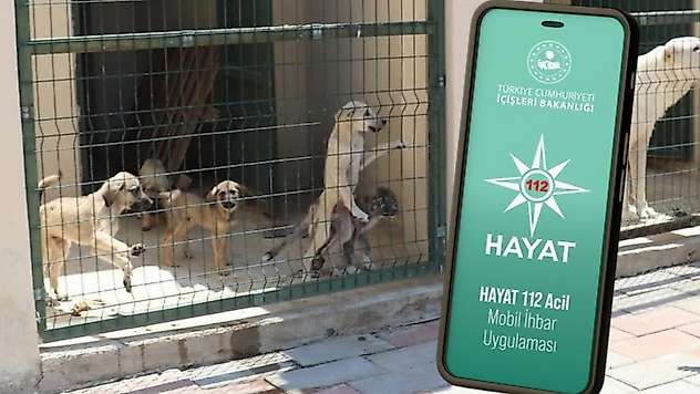 Siirt 112'den Sokak Hayvanları İçin Hayat112 Uygulaması Uyarısı