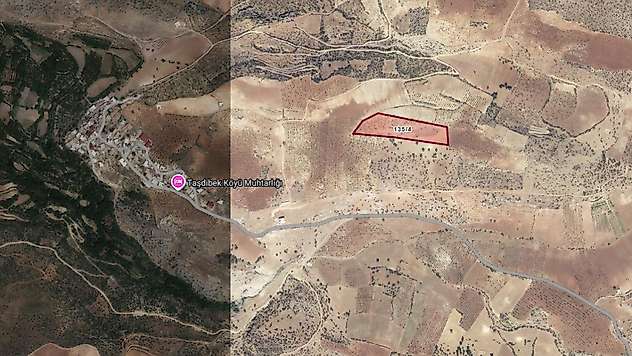 Siirt 16 bin 884 metrekare tarla icradan satışa çıkarıldı