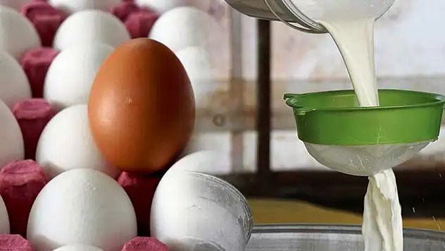 Siirt 3. Komando Tugay Komutanlığı Süt ve Yumurta Satın Alacak