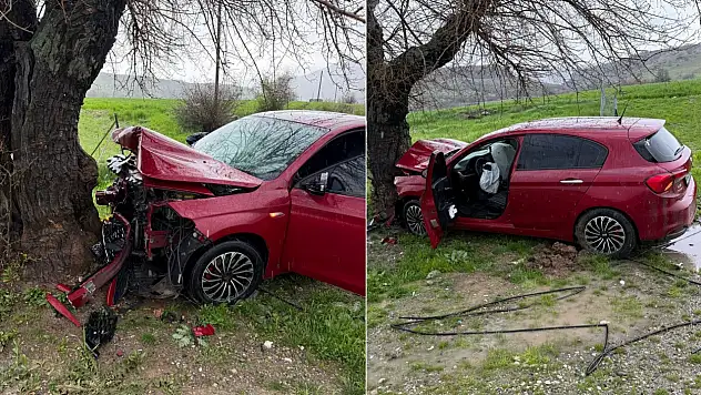 Siirt-Baykan Yolunda Kaza: Otomobil Ağaca Çarparak Durabildi