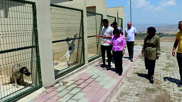 Siirt Belediye Eşbaşkanı Sofya Alağaş'tan Sokak Hayvanları Barınağına Ziyaret