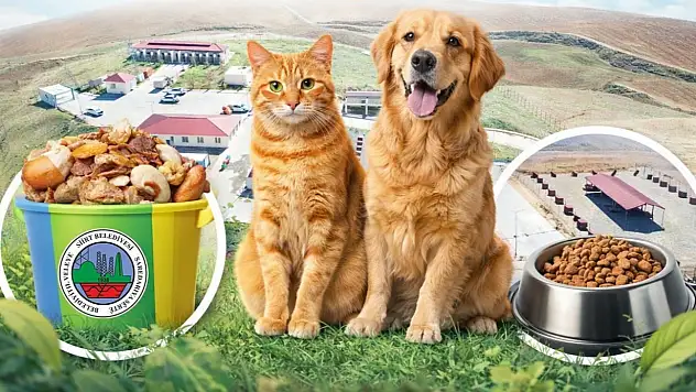 Siirt Belediyesi Gıda Atıklarını Sokak Hayvanları İçin Mamaya Dönüştürüyor