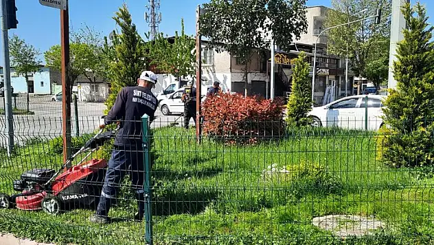Siirt Belediyesi Park ve Bahçeler Müdürlüğü Temizlik ve Bakım Çalışması Başlattı