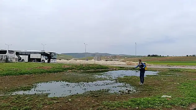Siirt Belediyesi'nden Kapsamlı Haşereyle Mücadele Çalışması