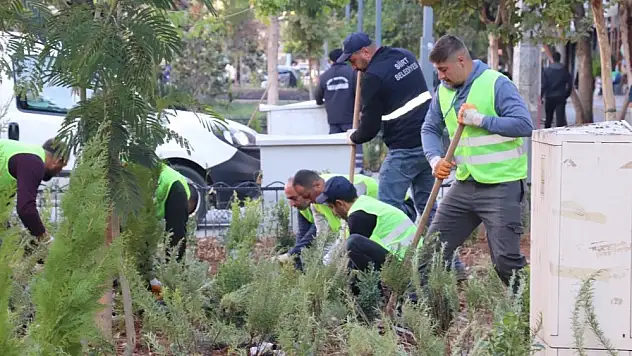 Siirt Belediyesi'nden Kent Merkezinde Yeşillendirme Çalışmaları