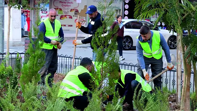 Siirt Belediyesi'nden Kent Merkezinde Yeşillendirme Çalışmaları