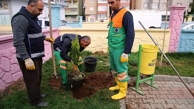 SİİRT BELEDİYESİNİN ÇALIŞMALARI