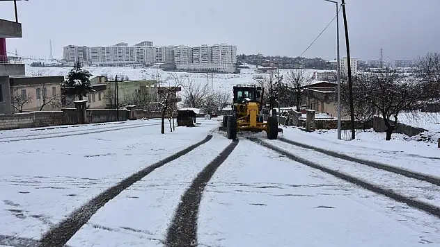 Siirt Belediyesi'nin Karla Mücadele Mesaisi Başladı