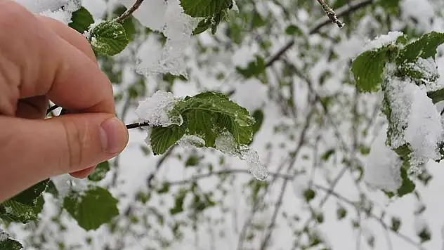 Siirt Dahil 44 İlde Sarı Kodlu Alarm: Meteoroloji'den Kuvvetli Yağış ve Zirai Don Uyarısı