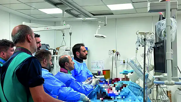 Siirt Eğitim ve Araştırma Hastanesi'nde 'CTO' Programı Düzenlendi