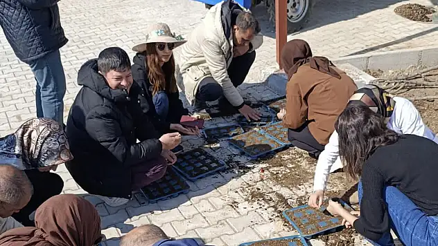 Siirt Engelsiz Yaşam Merkezinde Özel Bireylerin Engelsiz Başarı Hikayesi