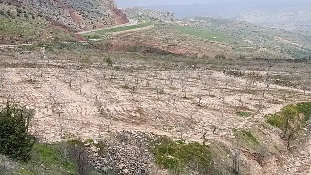 Siirt Kayaboğaz Köyünden Ankara'ya Çağrı: Eruh Yolu Çöküyor, Köylüler Mağdur