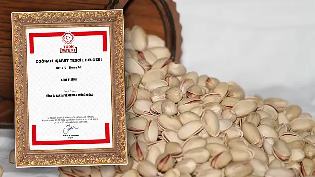 Siirt Fıstığı, Türkiye Patent ve Marka Kurumu Tarafından Mahreç İşareti ile Tescillendi! İşte Siirt'in Tescilli 11 Ürünü
