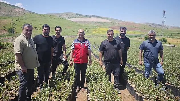 Siirt Fıstığında Hedef Daha Kaliteli Üretim