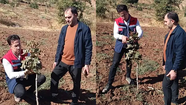 Siirt Fıstığında Verim Artışı İçin Uygulamalı Eğitim