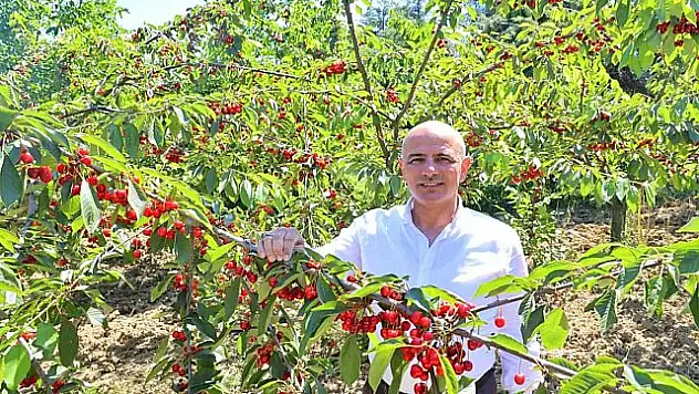 Siirt Fıstıkçılık Birimi  660 Köyde, 500 Bahçeyi Denetledi