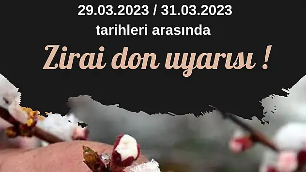 SİİRT FISTIKÇILIK BİRİMİ ÜRETİCİLERİNE DON UYARISI