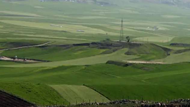 Siirt Garzan Ovasını Fareler Bastı!