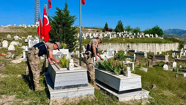 Siirt Genelindeki 196 Şehit Mezarı Bakıma Alınarak Bayrakları Değiştirildi