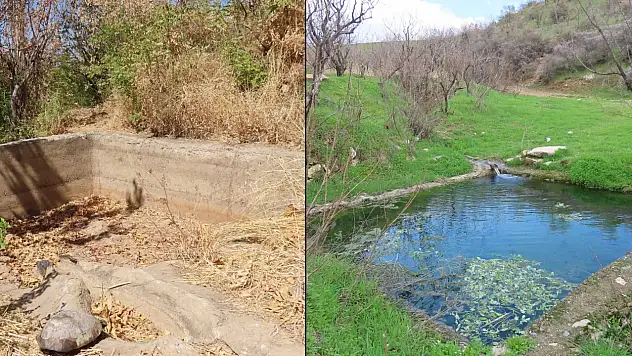 Siirt Gökçebağ'da Doğa Yeniden Canlandı: Kuruyan Çeşme Yeniden Akmaya Başladı