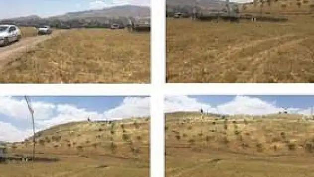 SİİRT İCRA DAİRESİ TARAFINDAN SATIŞA ÇIKARILDI