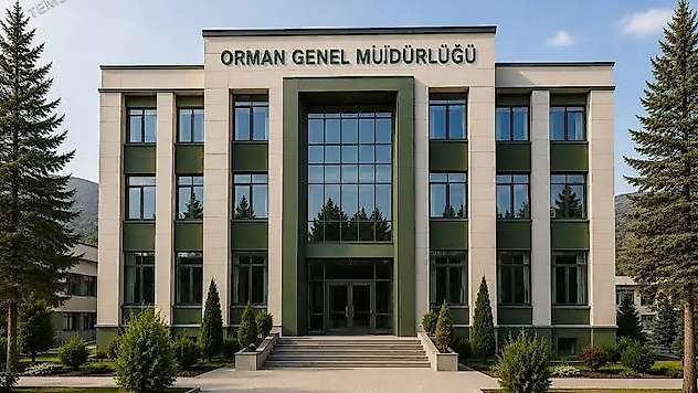 Siirt'in Beklediği Yatırım İçin Yarış Başladı! Komşu İller Devrede