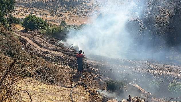 Siirt'in Eruh ilçesine Bağlı Zarova'da Yangın: Ekipler Alevlerle Mücadele Ediyor
