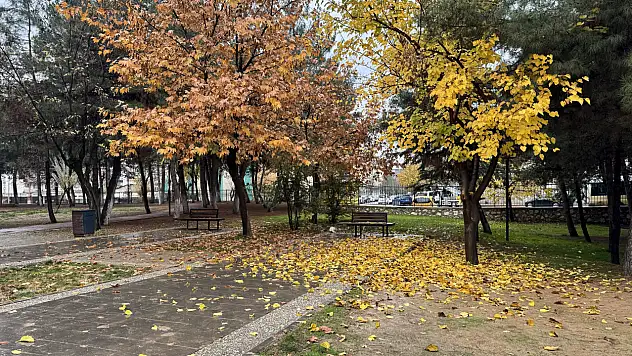Siirt'in Göbeğinde Renk Cümbüşü! Soğuk havada sıcak bir manzara