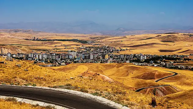 Siirt'in Kurtalan ilçesinde bir sokağa Leyla Aydemir'in ve Şeyh Sait'in adı verildi