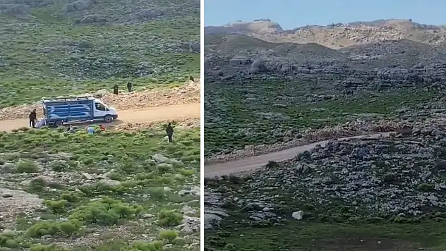Siirt'in Yaylalarında Doğal Lezzet Mesaisi: Havaların Isınmasıyla Siirtli Vatandaşlar Yaylanın Yolunu Tuttu