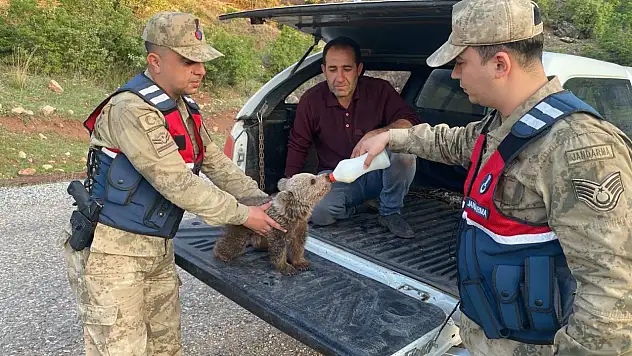 Siirt Jandarma Çevre Doğa Timi'nden Doğa Dostu Çalışmalar