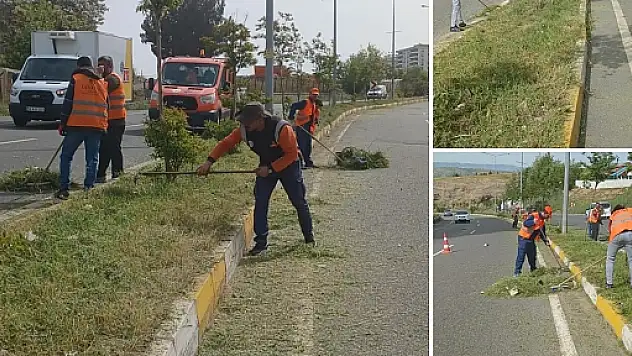 Siirt Karayolları 94. Şube Şefliği Temizlik Çalışmalarında Bulundu