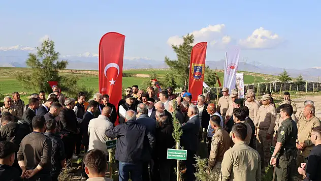 Siirt Kurtalan'da 1000 fidan toprakla buluşturuldu