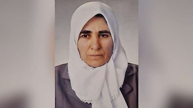Siirt Kurtalan'da Nefiya Bağrıyanık Hayatını Kaybetti