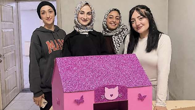 Siirt Kurtalan Öğrenci Yurdu'nda Öğrencilerden Sokak Kedileri İçin Örnek Çalışma