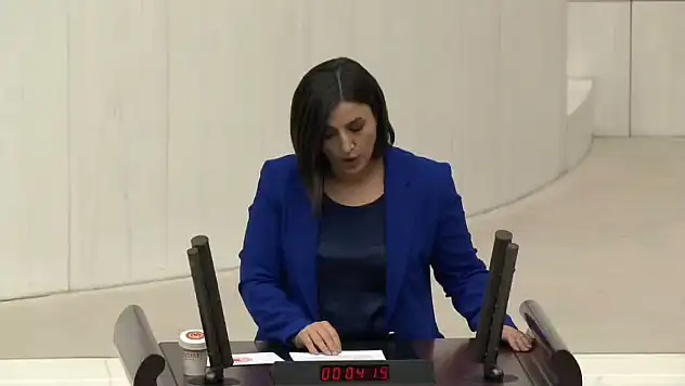 Siirt Milletvekili Sarıtaş, '12. Kalkınma Planı' Üzerinden Hükümete Yüklendi