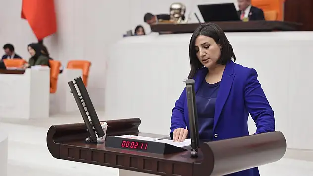 Siirt Milletvekili Sarıtaş, Hastane Sorunlarını TBMM Gündemine Taşıdı