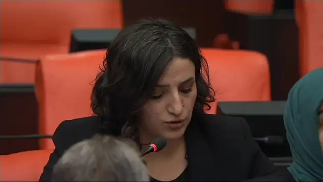 Siirt Milletvekili Sarıtaş, Mışar Halkının Sorunlarını Meclis Gündemine Taşıdı