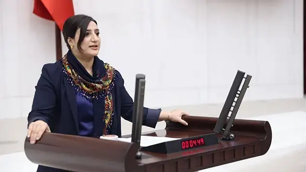 Siirt Milletvekili Sarıtaş, Siirt'teki Sel Felaketini Meclis Gündemine Taşıdı