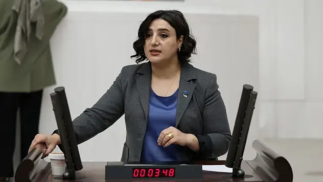 Siirt Milletvekili Sarıtaş, Siirt'in Su Sorunu İçin Bakanlıklara Soru Önergesi Verdi