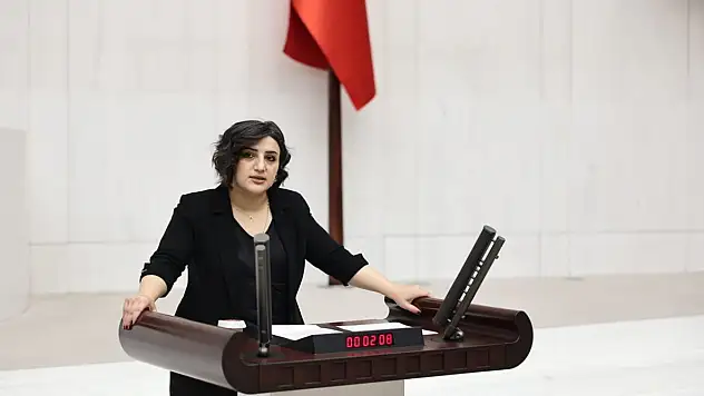 Siirt Milletvekili Sarıtaş'tan bakanlıklara eğitim ve kadın politikalarıyla ilgili sorular