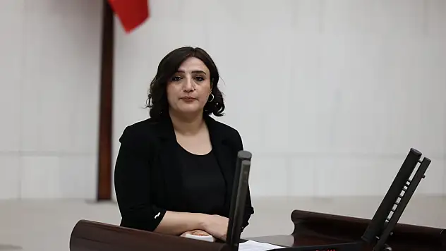 Siirt Milletvekili Sarıtaş Tarihi Mekanların Bakımsızlığını Meclis Gündemine Taşıdı