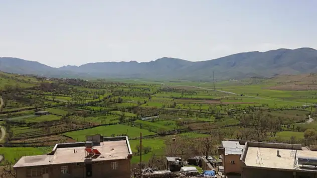 SİİRT MIŞAR HALKI, MIŞARLI MİLLETVEKİLİ İSTİYOR