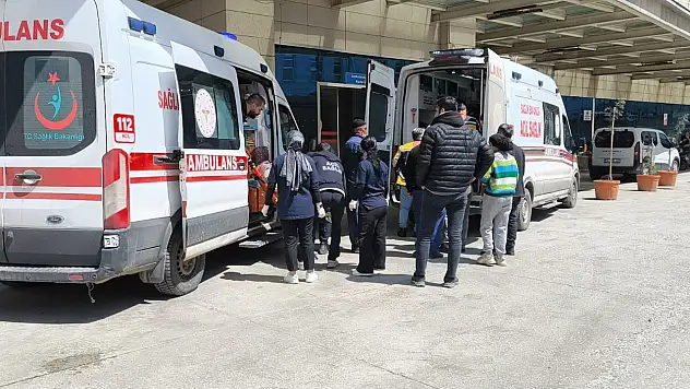 Siirt Pervari'de Ağaçtan Düşen Vatandaş Ağır Yaralandı