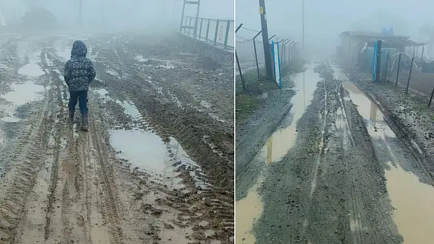 Siirt Pervari Ormandalı Köy Yolları Çukur İve Çamur İçinde