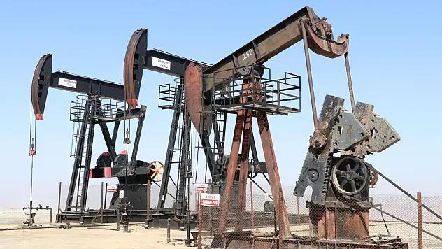 Siirt'te Petrol Arama Ruhsatının Süresi 2 Yıl Uzatıldı