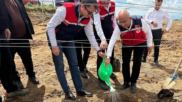 Siirt Sarısalkım Köyü'nde Telli Terbiye Bağcılığı Projesi Hayata Geçti