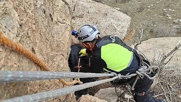 Siirt Şeytan Deresi'nde 3 gündür mahsur kalan keçiye kurtarma operasyonu