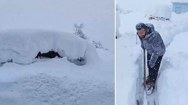 Siirt Şirvan'da 1 Metrelik Kar: Öğretmen Kürekle Yol Açtı