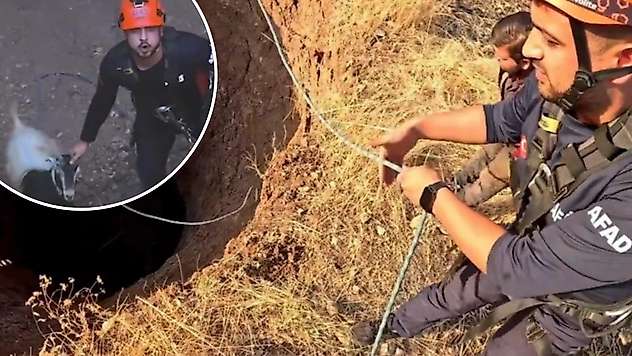 Siirt'te 30 Metrelik Obruğa Düşen Keçi AFAD Ekiplerince Kurtarıldı